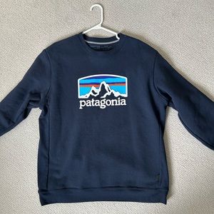 Patagonia NWOT - Mens Crewneck Sweater